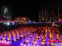 chua-phuc-quang-to-chuc-dem-hoa-dang