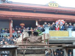 duc-chuong-dong-chua-phuc-hau