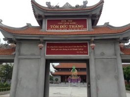 tet-trong-cay-hai-phong