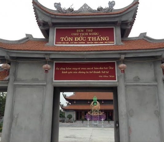 tet-trong-cay-hai-phong