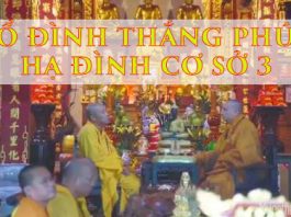 to-dinh-thang-phuc-ha-dinh-co-so-3