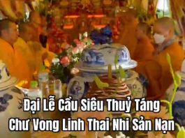 dai-le-cau-sieu-thuy-tang
