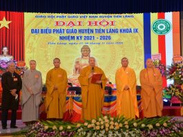 dai-hoi-dai-bieu-phat-giao-huyen-tien-lang-lan-thu-ix-2021-2026-to-chuc-tai-hai-phong (5)